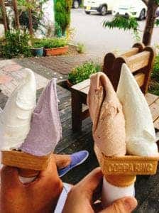 ミルキーウェイファーム