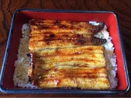 小島家