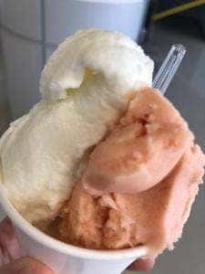 みどりの杜のカフェ みどりの杜農業園芸センター