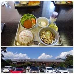 おいしい学校の給食