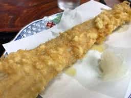 松楽