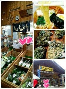 食堂 みつ葉のクローバー 産直ともちゃん