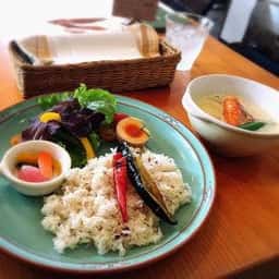 チイサナカフェ olive