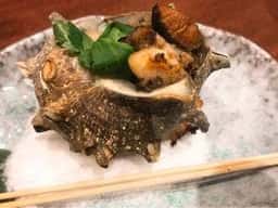 すなおや 三国店