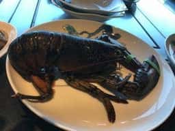 鉄板焼きダイニング竹彩