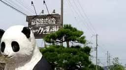 ジャックと豆の樹