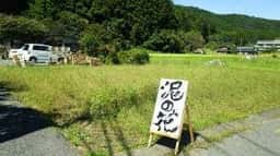 泥の花
