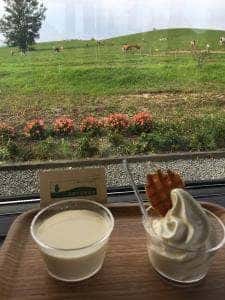 美瑛放牧酪農場