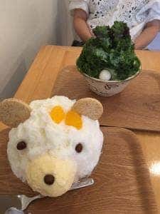 茶のいろは