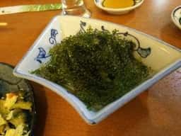 やしの木広場