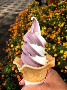 うまいもん処 六斎茶屋 道の駅こもち