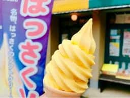 ロープウェイ前 ええもんや