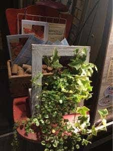 淡路町カフェ カプチェットロッソ