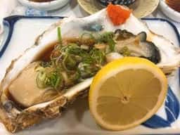 鯉寿司 鷺沼店