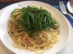 イタリア料理 THEO