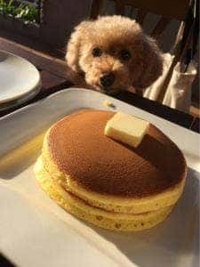 Berry'sCafe