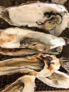 かき小屋 仙台港