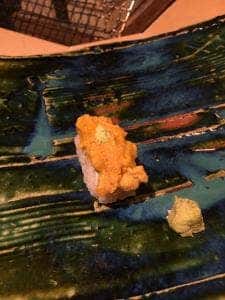 鮨れんげ