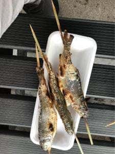 渓流釣り 軽井沢おもちゃ王国