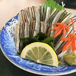 足摺黒潮市場土佐清水さかなセンター