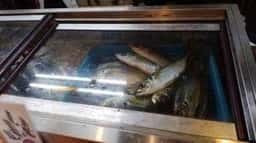 魚屋と食事処 いかざき