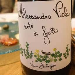 Viccolino