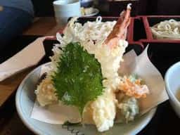 野路