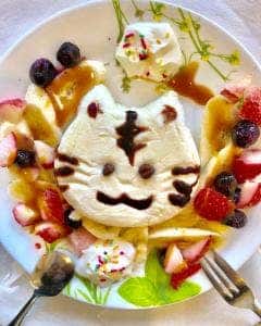 サリュート