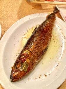 葡萄の牙