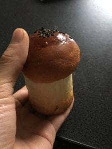 かんしゃ堂