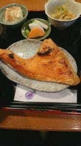 柿之木