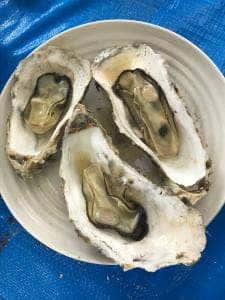 日の丸食堂 道の駅にしめ はまなすの里