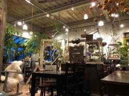 Cafe echelle