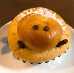 ナチュラルプレイス