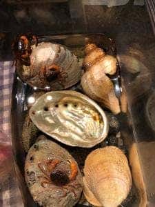 肉菜旬魚とき-時機-