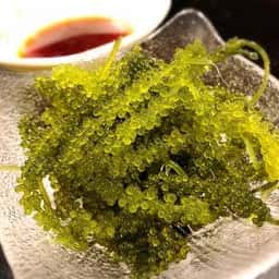 まぐろ酒場 寺衛門