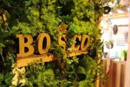 camping BOSCO