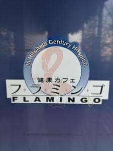 フラミンゴ