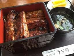 うな修