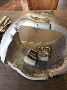 ルナパルパドス 今田