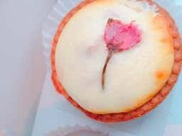 宿カリ チーズケーキ 金沢諸江店