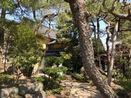 雀の庵