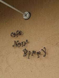 Non Birry