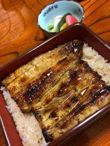 小島家