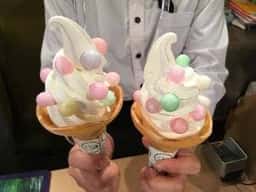 嵐山SASAYAIORI+