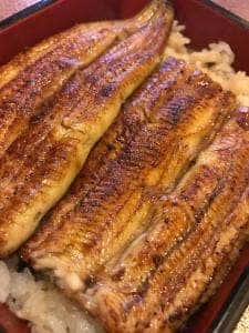 うなぎ・天ぷら かどもと