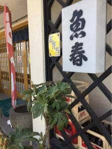 魚春