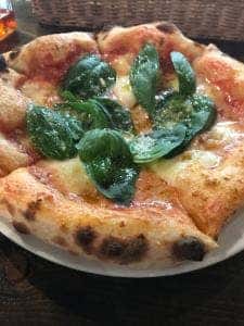 お陽さまが見てるよ