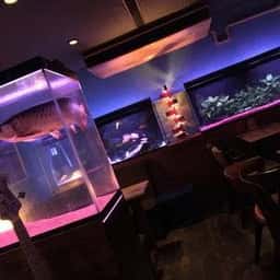 Bar fish