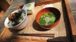 SHOKU YABO農園